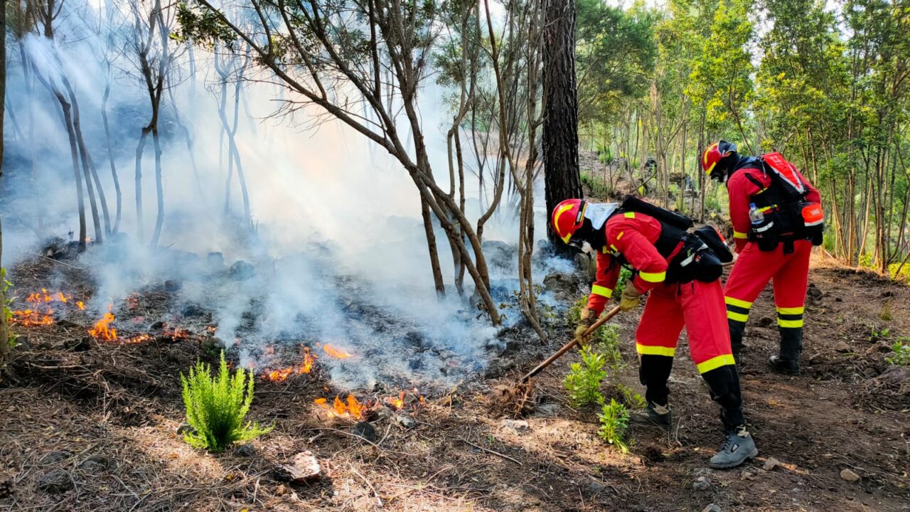 Waldbrand auf Teneriffa schreitet voran – schon 500 Hektar zerstört