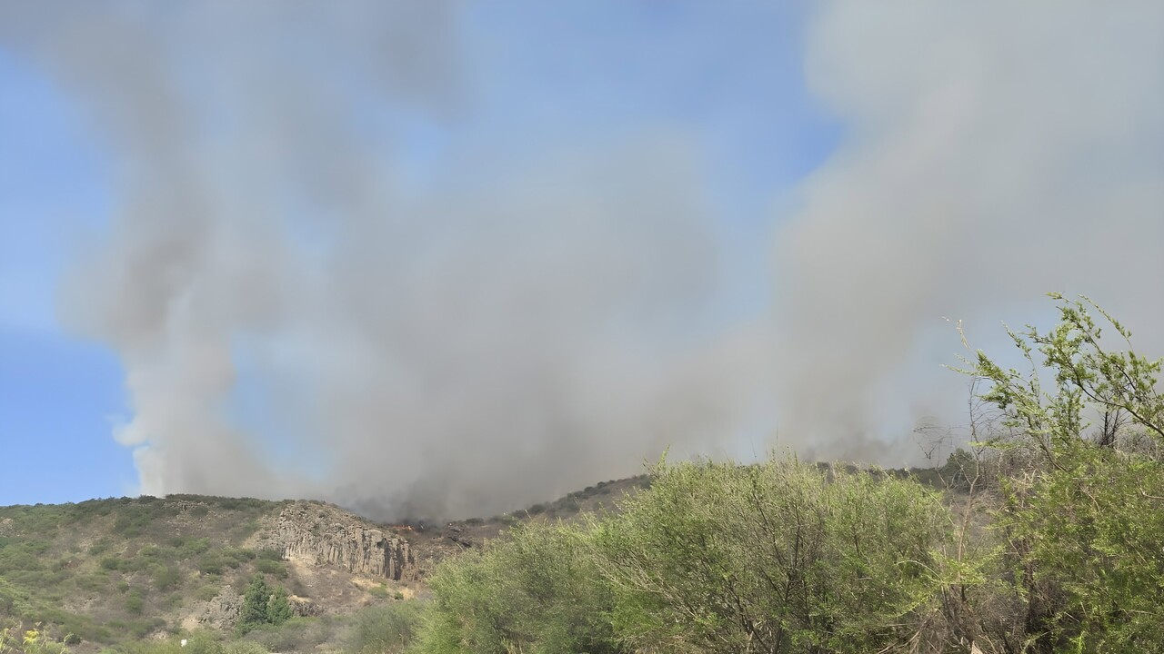 Waldbrand auf Teneriffa: Schon 70 Hektar verbrannt – jetzt werden Drohnen eingesetzt