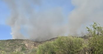 Waldbrand Teneriffa Nord 07-2025