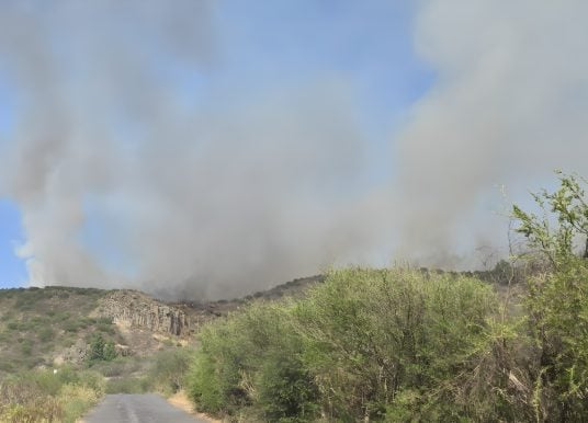 Waldbrand auf Teneriffa: Schon 70 Hektar verbrannt – jetzt werden Drohnen eingesetzt