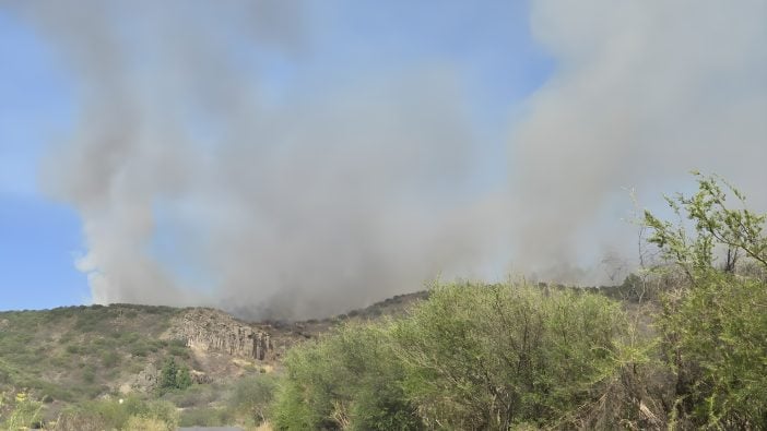 Waldbrand Teneriffa Nord 07-2025
