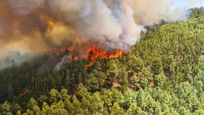 Neue Fotos und Videos vom Waldbrand auf Teneriffa