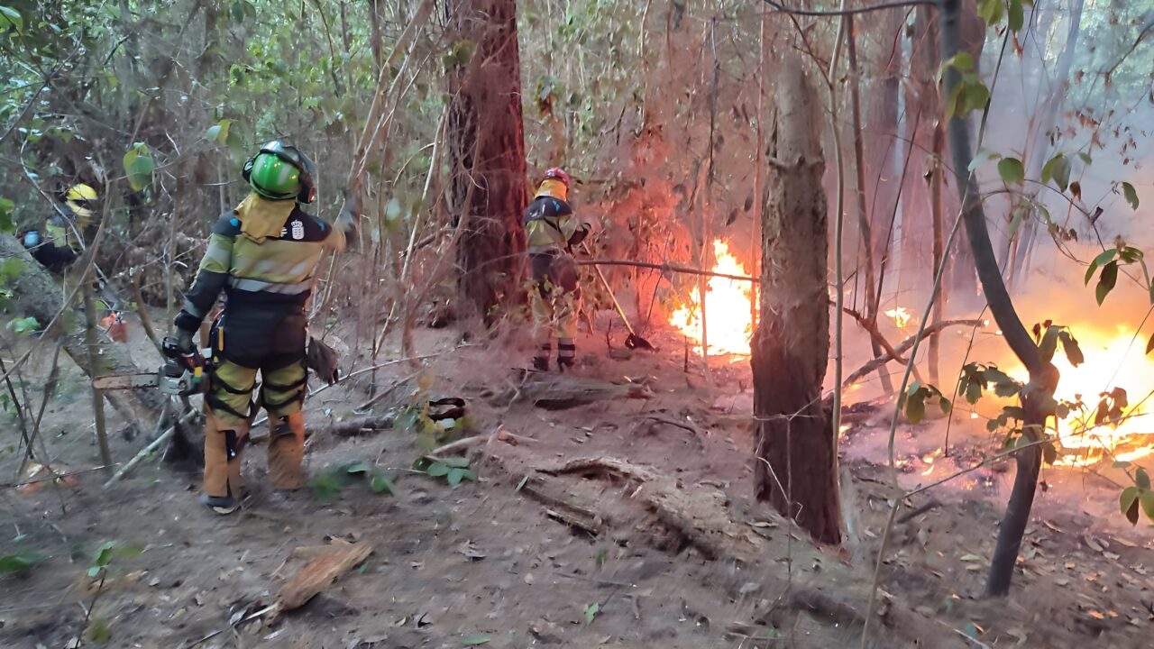 Waldbrand auf Teneriffa: Das ist der aktuelle Stand