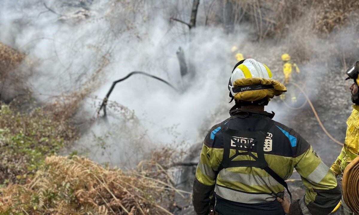 Waldbrand auf Teneriffa: Die Feuerwehr kommt noch nicht zur Ruhe