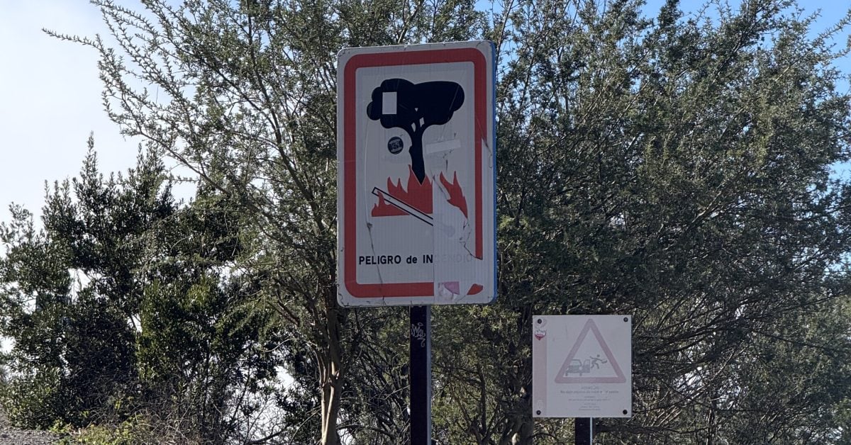 Kanaren rufen Waldbrand-Alarmstufe aus – diese Verbote gelten