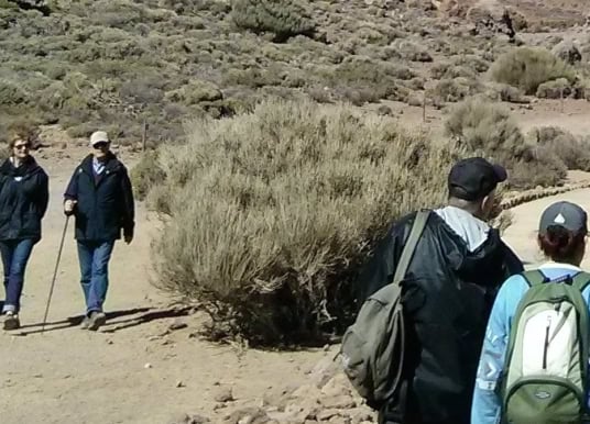 Wandern Teneriffa