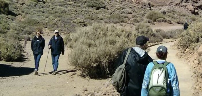 Teneriffa-Tipp: Wandern durch den Teide-Nationalpark