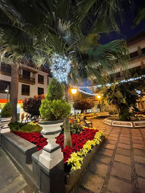 Weihnachtsbeleuchtung Kanaren Teneriffa Puerto Dr. Negrin