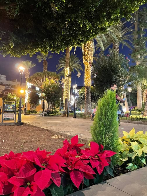 Weihnachtsbeleuchtung Kanaren Teneriffa Puerto Weihnachtssterne