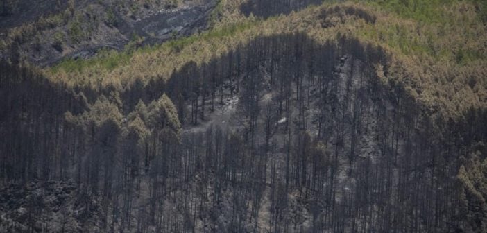 Walbrand La Palma Auswirkungen 2016