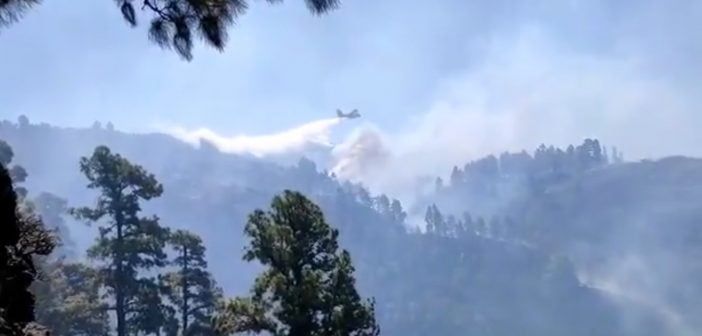 Waldbrände La Palma Kanaren Löschflugzeug