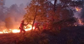 Waldbrände Teneriffa Arico 2021