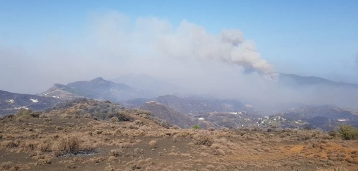 Waldbrand Feuer Gran Canaria Cabildo 08-2019