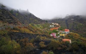 Waldbrand Gran Canaria 2017 Inselverwaltung