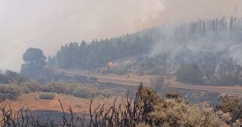Waldbrand Gran Canaria Flächenbrand 07-2023