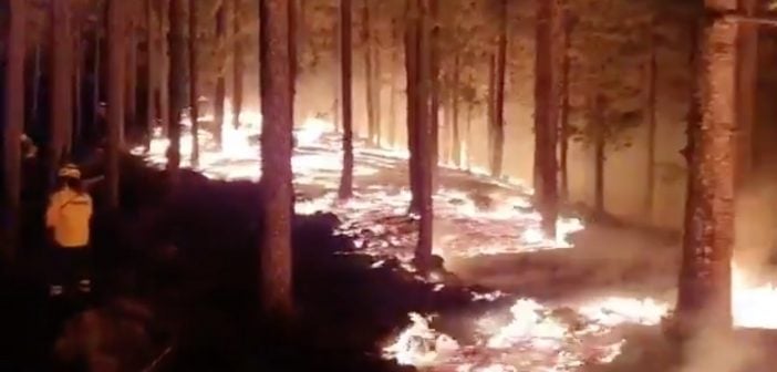 Fotos und Videos: Waldbrände wüten auf Gran Canaria