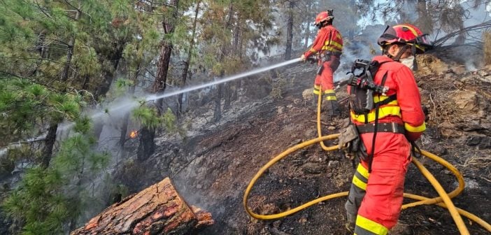 Waldbrand La Palma Feuerwehr Löscharbeiten 07-2023 UME