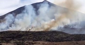 Feuer im Teide Nationalpark auf Teneriffa 2019