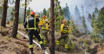 Waldbrand auf Teneriffa eingedämmt – bis zu 25.000 Tiere verbrannt