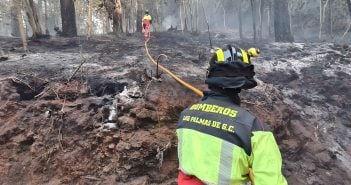 Waldbrand Teneriffa Feuerwehr ausgebrannt 08-2023