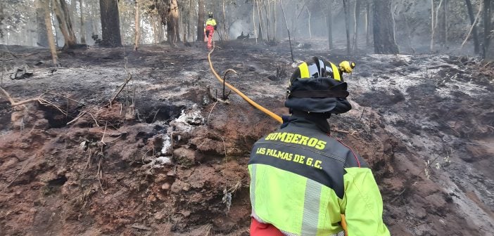 Waldbrand Teneriffa Feuerwehr ausgebrannt 08-2023