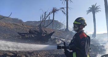 Waldbrand Teneriffa Feuerwehr Löscharbeiten La Laguna