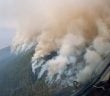 Waldbrand Teneriffa aus der Luft 08-2023