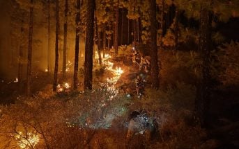 Waldbrand Teneriffa Nacht Gobcan